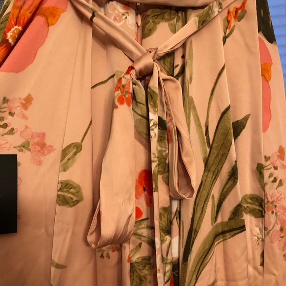 𝘉𝘭𝘶𝘴𝘩 𝘗𝘪𝘯𝘬 𝘍𝘭𝘰𝘳𝘢𝘭 𝘗𝘳𝘪𝘯𝘵 𝘚𝘢𝘵𝘪𝘯 𝘔𝘢𝘹𝘪 𝘋𝘳𝘦𝘴𝘴 - Picture 6 of 12